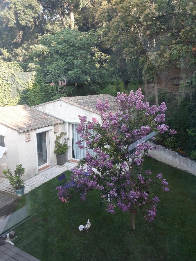 Dans Un Jardin Bb Et Jacuzzi Bed and Breakfast Mandelieu Exteriör bild