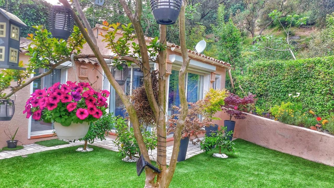 Dans Un Jardin Bb Et Jacuzzi Bed and Breakfast Mandelieu Exteriör bild